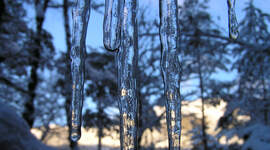 Istapper i vinterlandskap.